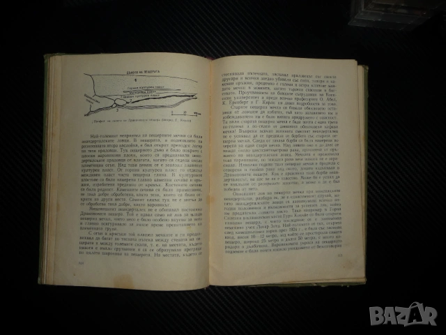 Ловци на пещерни мечки Йозеф Аугуста хора неандерталци храна лов ловджии огромни кози черепи хайка, снимка 4 - Други - 53329994