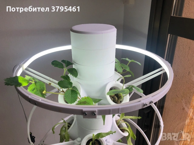 Аксесоари за растения, снимка 10 - Други - 53596515