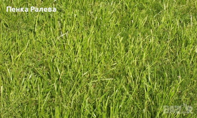 продава парцел 