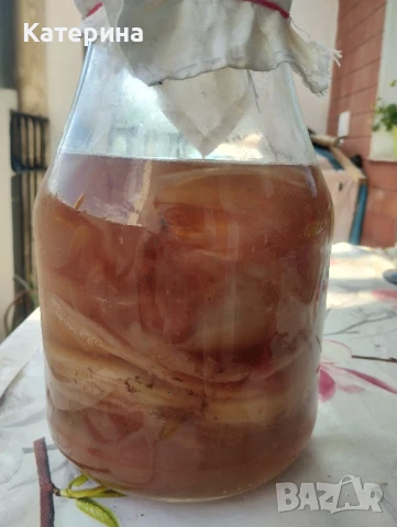 Тибетска гъба Комбуча SCOBY, снимка 4 - Домашни напитки - 50937323