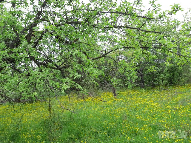 Продавам къща с парцел, снимка 10 - Парцели - 26810812