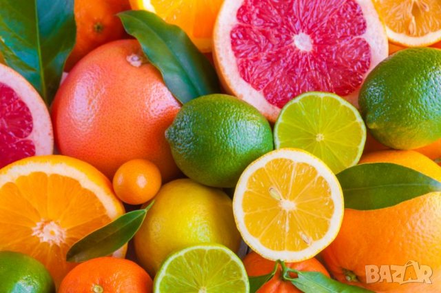 Разсад набор "Цитрусови": лимон, портокали, грейпфрут и мандарина 💥, снимка 1 - Градински цветя и растения - 27830303