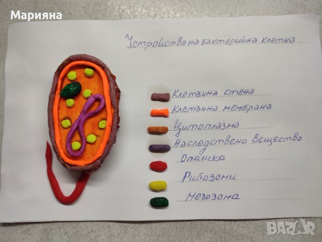 Проект за Левски, снимка 7 - Учебници, учебни тетрадки - 39614011