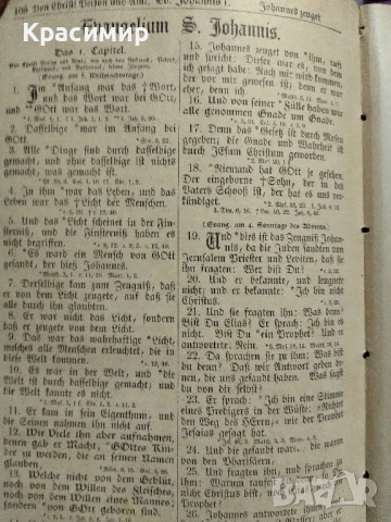 Библията на Лутер 1893 г., снимка 8 - Антикварни и старинни предмети - 51000438