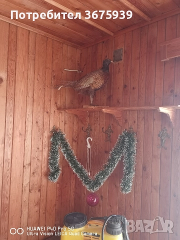 къща с двор в с.Глушник, снимка 10 - Къщи - 51624753