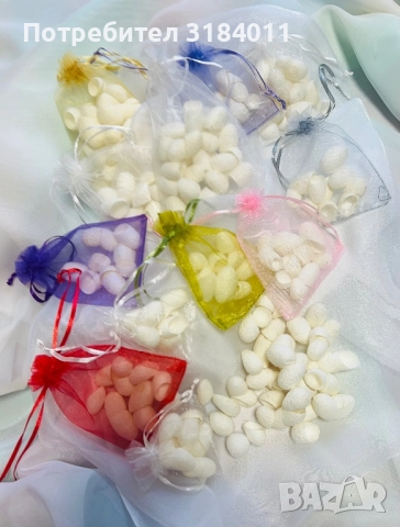 Копринени пашкули - естествена грижа за кожата и вдъхновение от природата