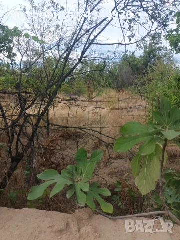 С. Памидово, снимка 2 - Къщи - 52876460