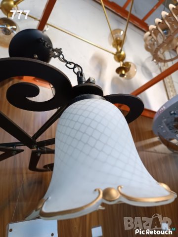 полилей , снимка 4 - Полилеи - 43611635