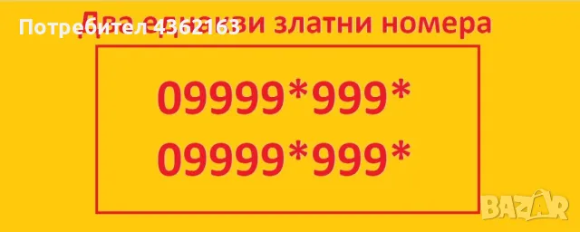 2 Еднакви Златни Нови VIP номера