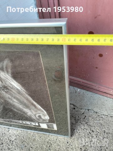 Графика на конска глава, снимка 5 - Антикварни и старинни предмети - 44028691