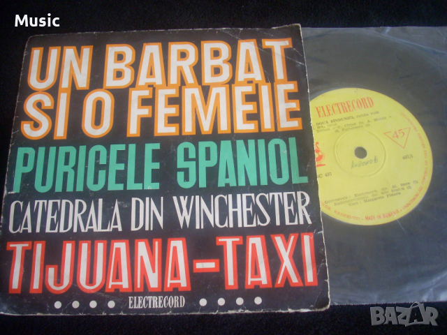 ✅Margareta Pîslarv* - Două Rîndunici / Da / Ochii Tăi / E Miraculos 7"