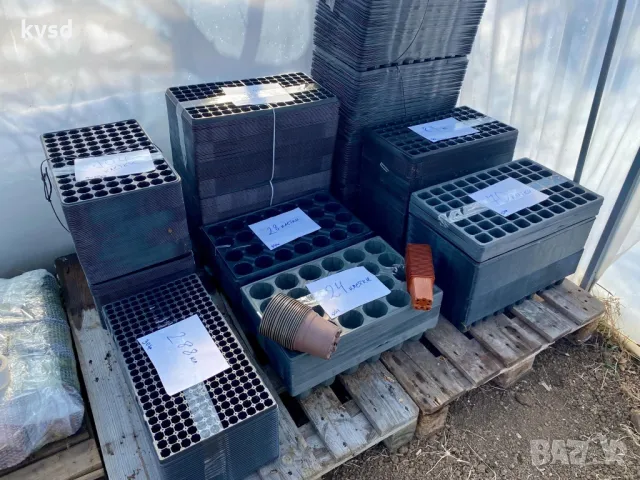 Тава за разсад , снимка 3 - Разсади - 48881770