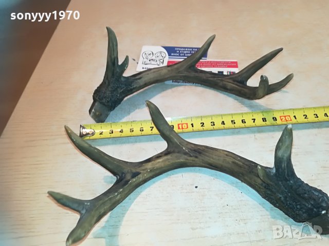 рога комплект 2бр 2005212045, снимка 5 - Антикварни и старинни предмети - 32947574