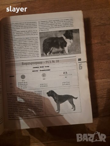 Световна енциклопедия на кучетата, снимка 3 - Художествена литература - 43749459
