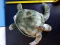 Океанска костенурка, Карета, снимка 6