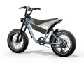 Ново електрическо колело E-Bike Himiway C5 Premium Moped Style, снимка 1