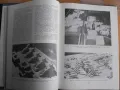 Обществени сгради.Книга І. Проф.арх.Владимир В.Лазаров., снимка 2
