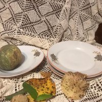 Порцеланови чинии и плато с есенни мотиви, снимка 2 - Сервизи - 38572505