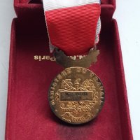 Френски позлатен сребърен медал, снимка 5 - Антикварни и старинни предмети - 35098840