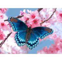 3374 Диамантен гоблен Лилави цветя/Пеперуда, снимка 2 - Декорация за дома - 38961226