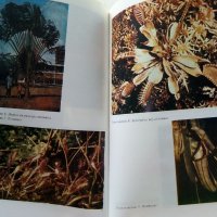 Христоматия по Биология - Ботаника том2 - 1985г., снимка 5 - Други - 38038328