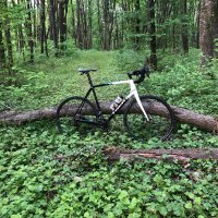 Trek Boone 5- carbon , , снимка 3 - Велосипеди - 44029280