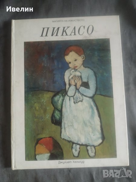 книга-пикасо, снимка 1