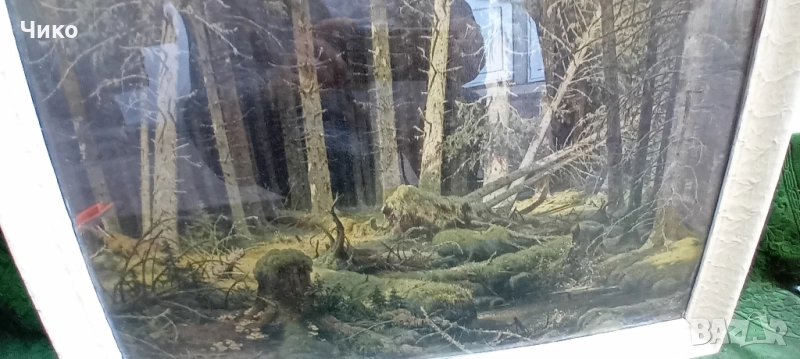 Голяма картина добре рамкирана и остъклена, снимка 1