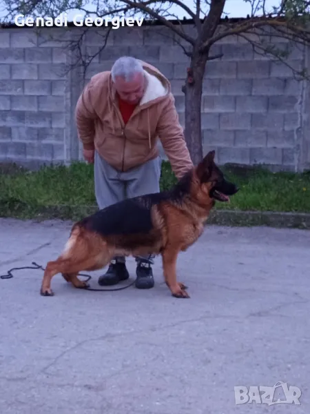 Промоция, снимка 1