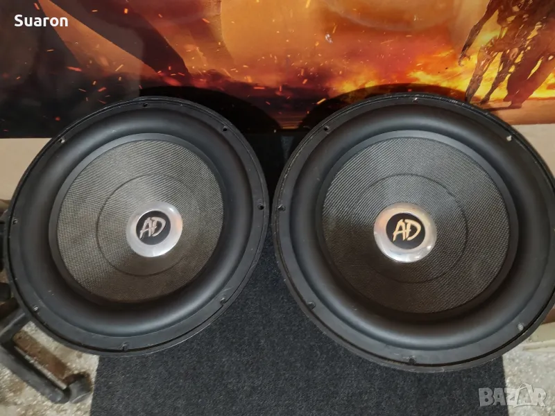 AD Audio Development VIPERA 12 инчови говорители, снимка 1