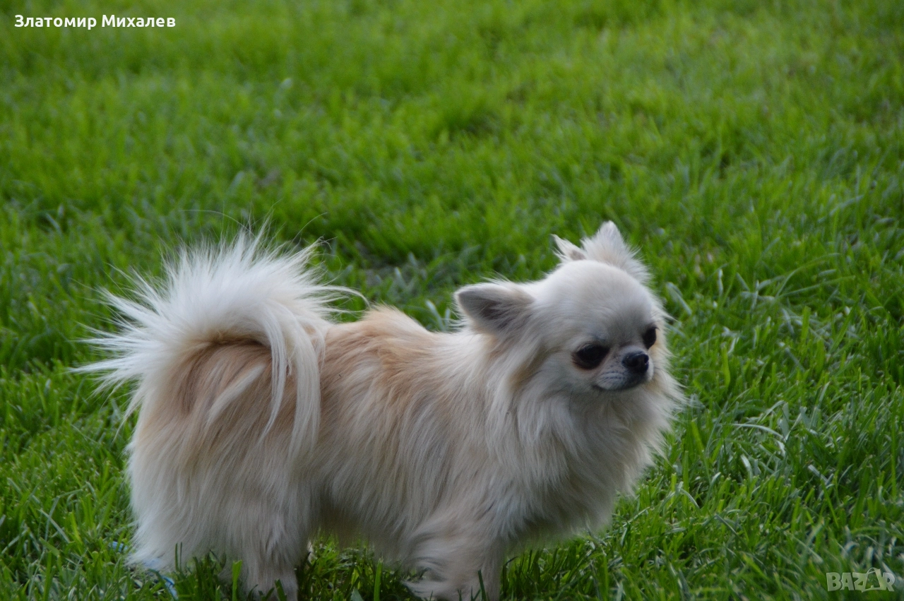 Търсим готини мадами, снимка 1