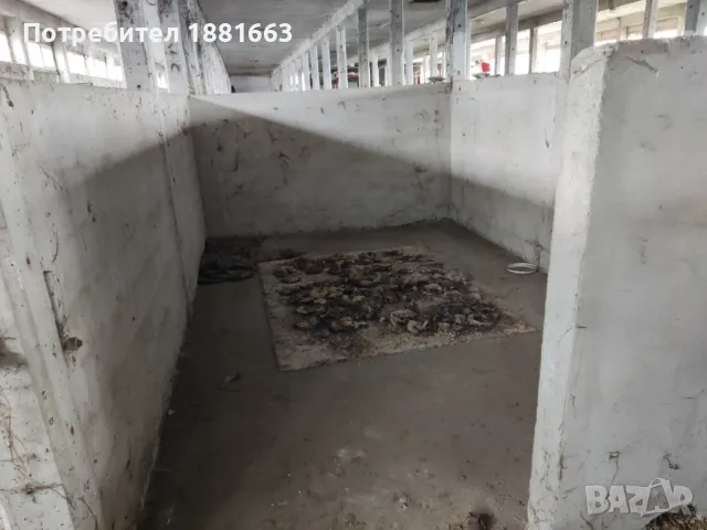 Под наем производствена сграда  1000 кв. м. и УПИ с площ 5000 кв. м.,, снимка 13 - Производствени сгради - 48933624