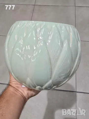 саксии кашпи 