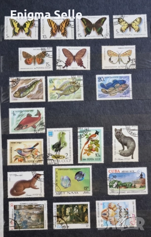 Колекция от пощенски марки , снимка 7 - Филателия - 52777571