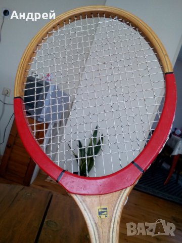 Стара ракета,хилка за тенис Юнацька, снимка 4 - Антикварни и старинни предмети - 27498979