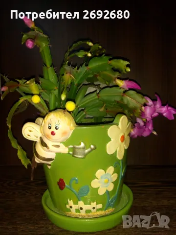  Коледниче розово+керамична саксия с подложка , снимка 3 - Саксии и кашпи - 45505179