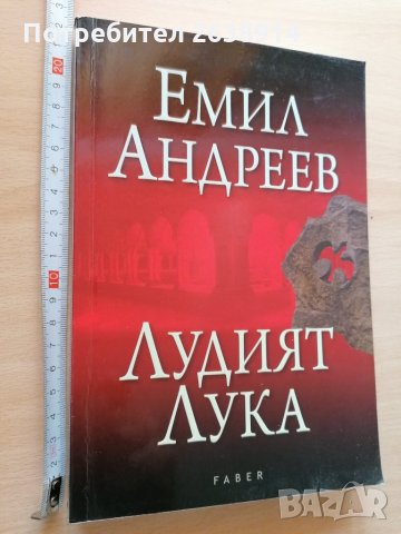 Лудият Лука Емил Андреев, снимка 1 - Художествена литература - 28853784