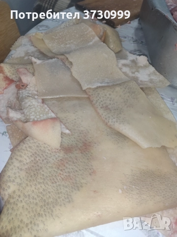 Прясна свинска кожа , снимка 4 - Друго - 52794536