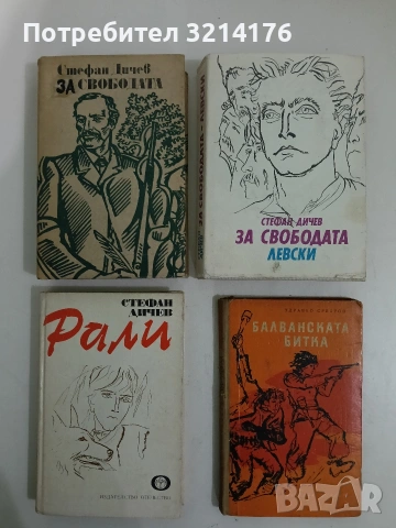 Рали. Повест за деца и юноши - Стефан Дичев (Отлично състояние)