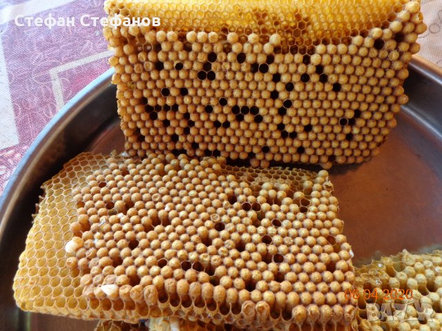 Търтеево млечице. Апиларнил. Търтеев хомогенат. Пчелният  мед е подарък, снимка 8 - Пчелни продукти - 28594765