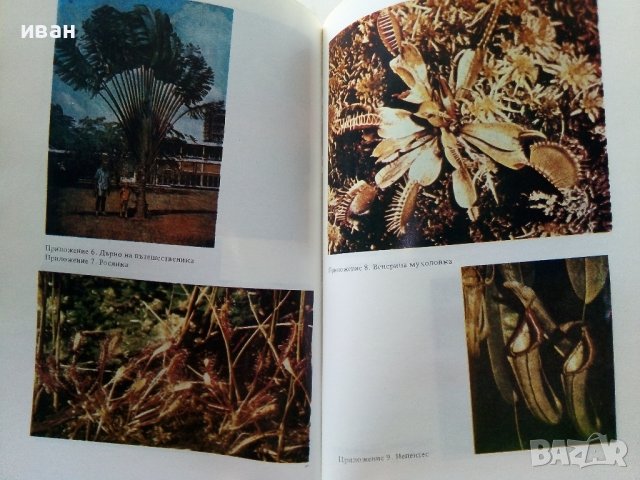 Христоматия по Биология - Ботаника том2 - 1985г., снимка 5 - Други - 38038328