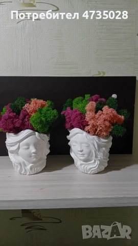 Кашпа със скандинавски мъх 