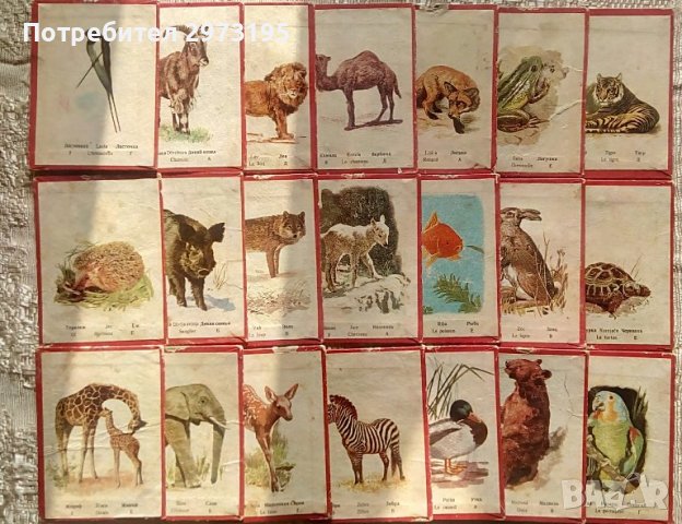 стара детска образователна игра