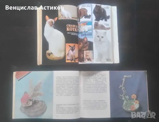 Лотове книги евтино - 1лв., снимка 14 - Други - 49887411