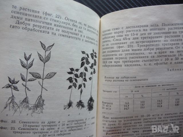 Едроплоден дрян Цоло Цолов отглеждане торене бране компот плод, снимка 3 - Специализирана литература - 51064711
