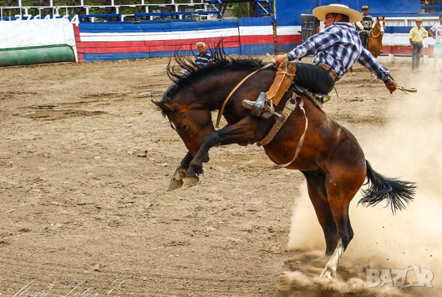 Фотоапарат Canon Power Shot SX130 IS с обектив 28-336 мм (екв. 35 мм) и стабилизация, снимка 4 - Фотоапарати - 52818738