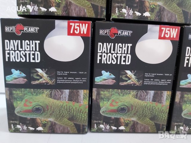 Крушка за терариум DAYLIGHT FROSTED