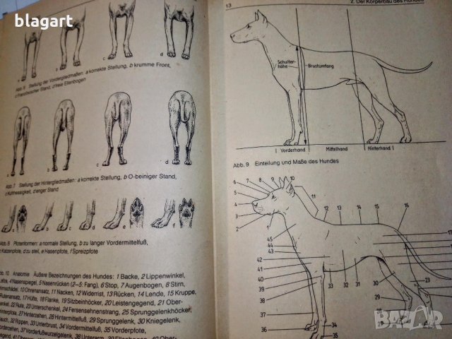 "Енциклопедия за породи кучета"-Германия, снимка 14 - Специализирана литература - 33458448