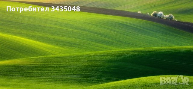 Изгодно! Земя от собственик в близост до главен път, снимка 2 - Земеделска земя - 38055483