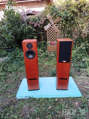 Тонколони Hi-End Usher V-602, снимка 7 - Тонколони - 52171299